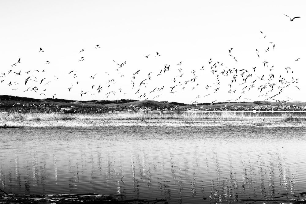 Photograph by Марина Савченко