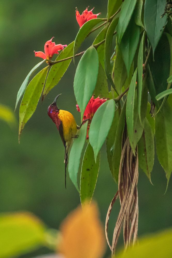 Photograph by saikat chanda