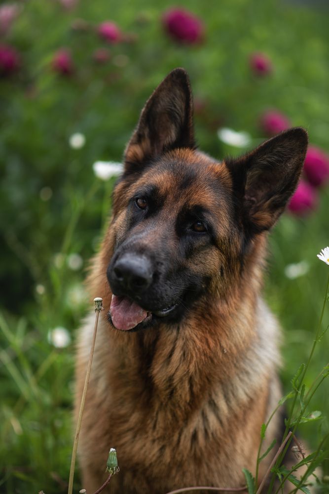 Photograph by Ольга Гайдарова