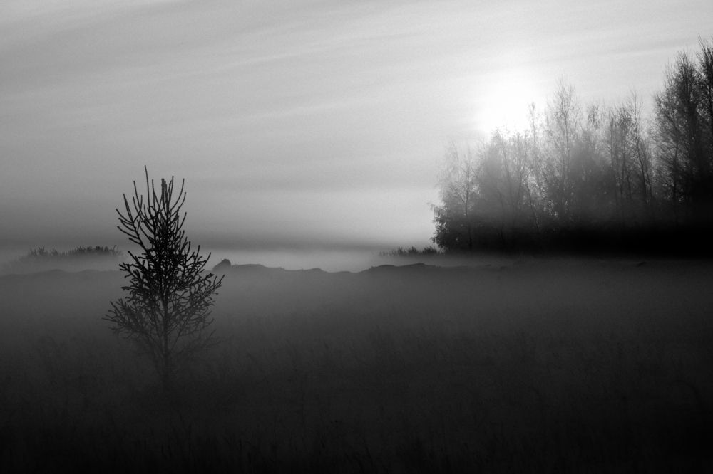 Photograph by Константин Зоткин