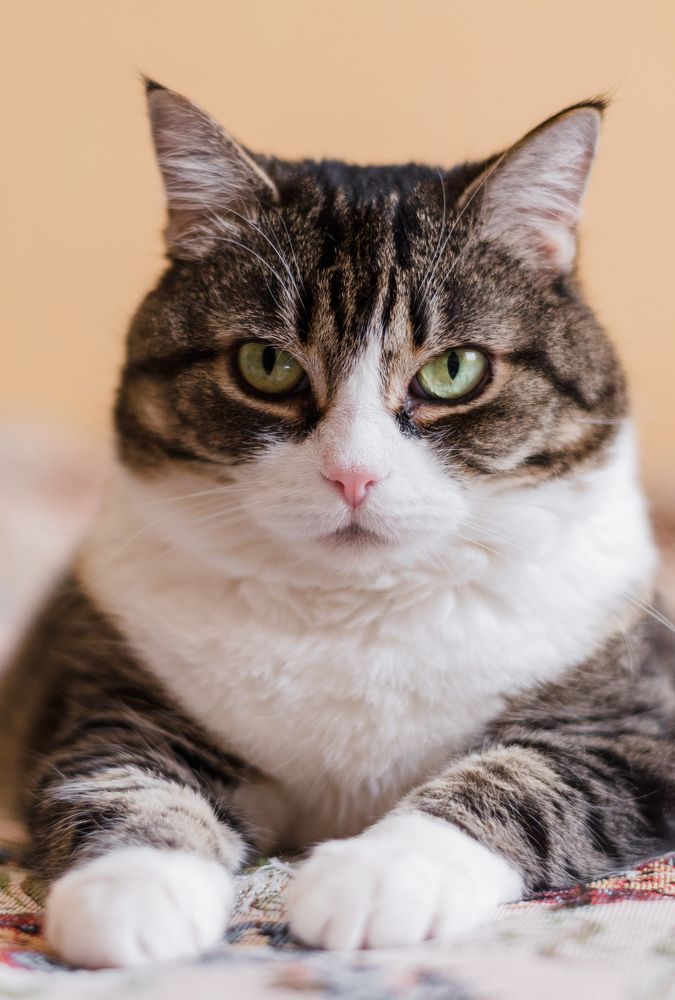 Photograph by Ирина Баёва