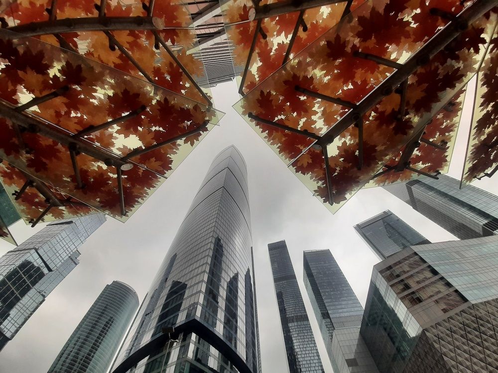 Фотография автора Владимир