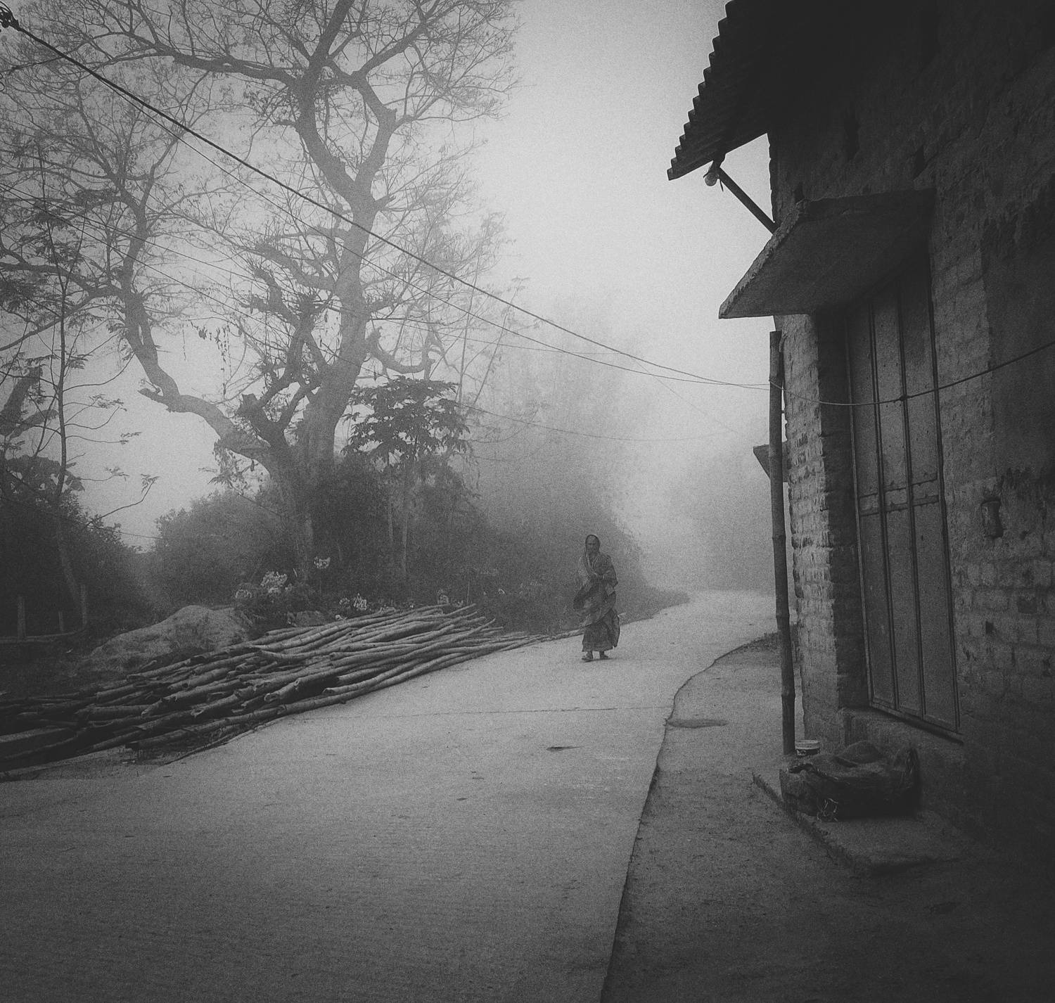 Photo #7679263