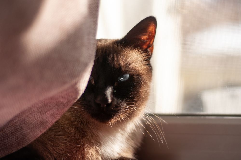 Photograph by Николай Полыгалов