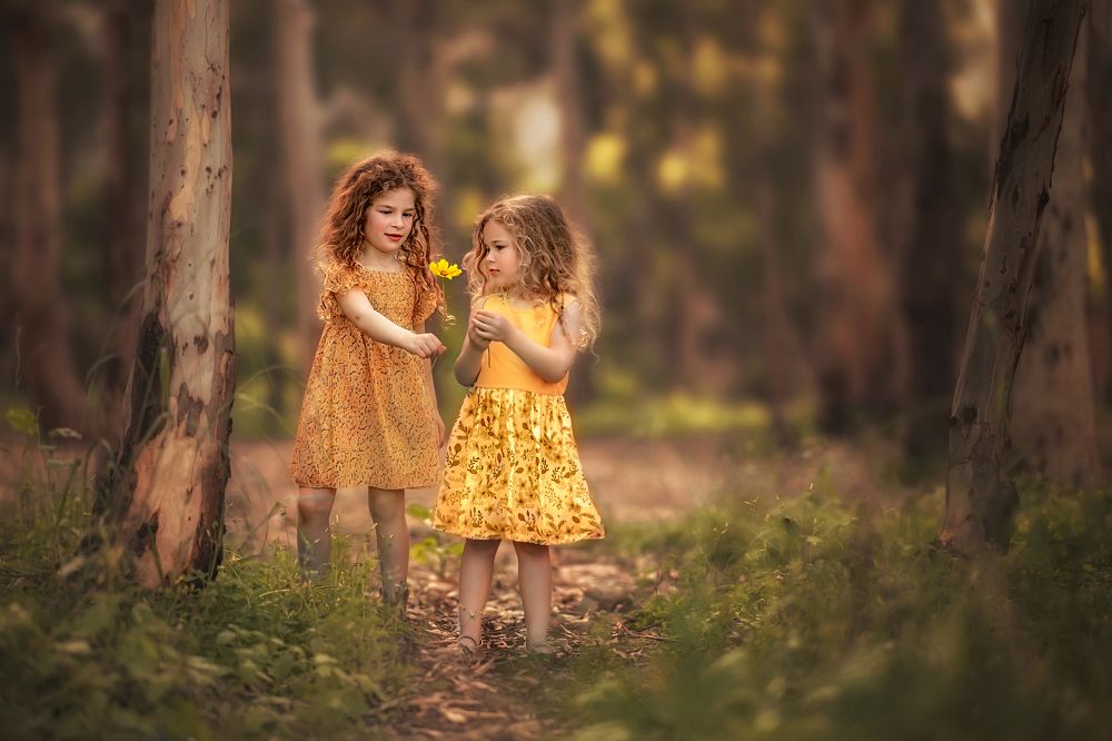 Photograph by Sonia Lazdin