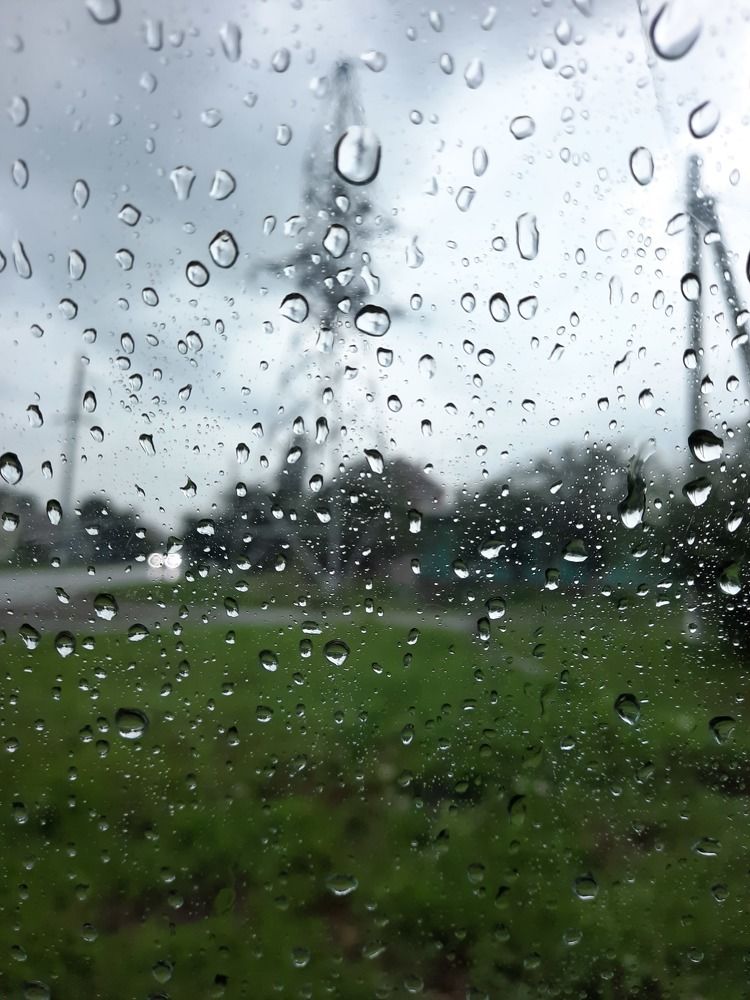 Photograph by Александр Новокрещенов