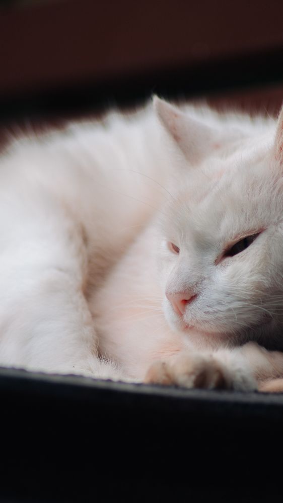 Фотография автора Alexander Komarov