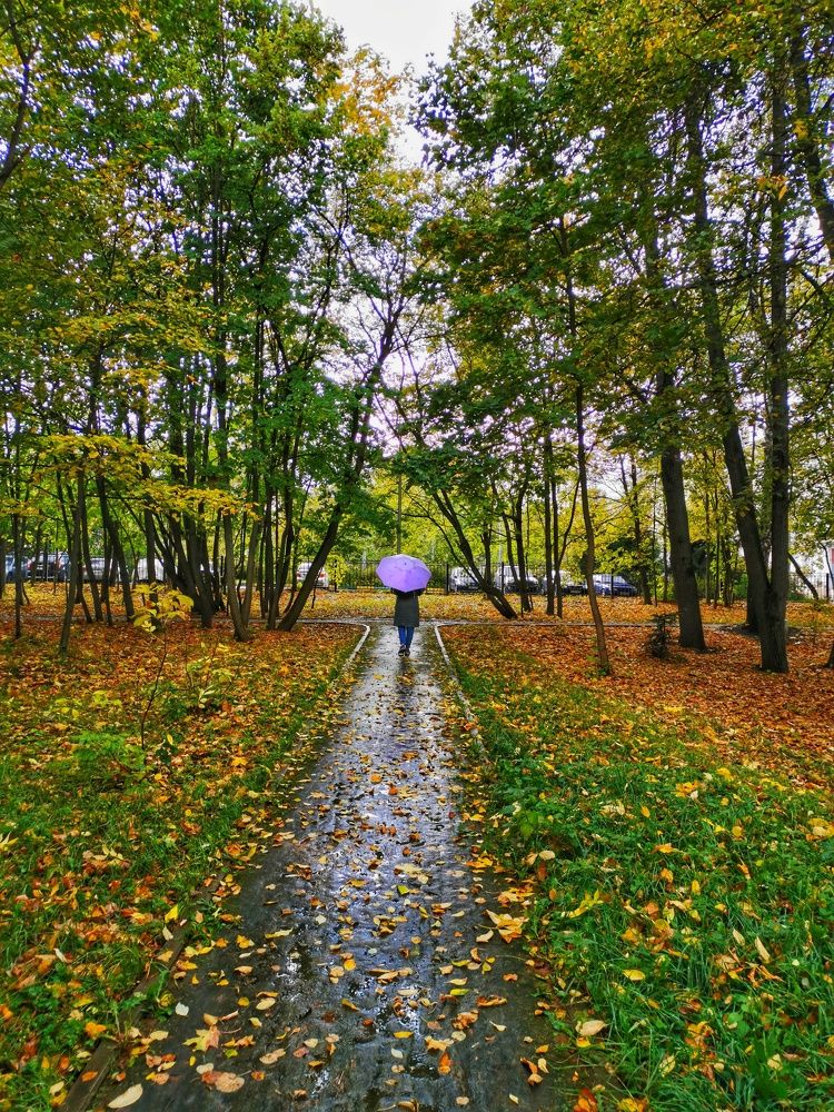 Photograph by Илья Крутихин