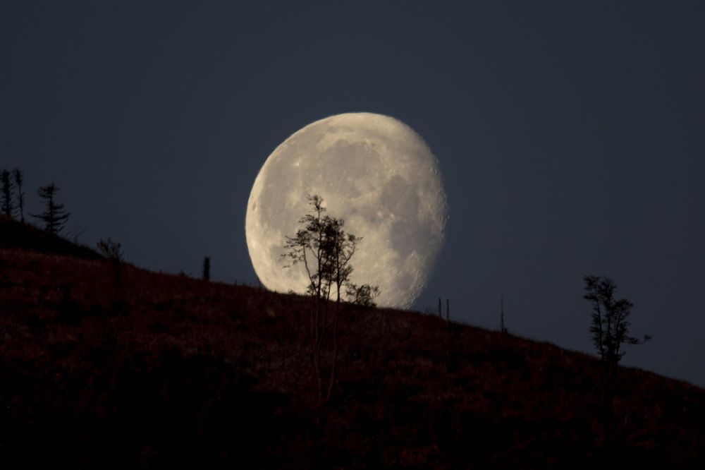 Photograph by Marcin Nalepka