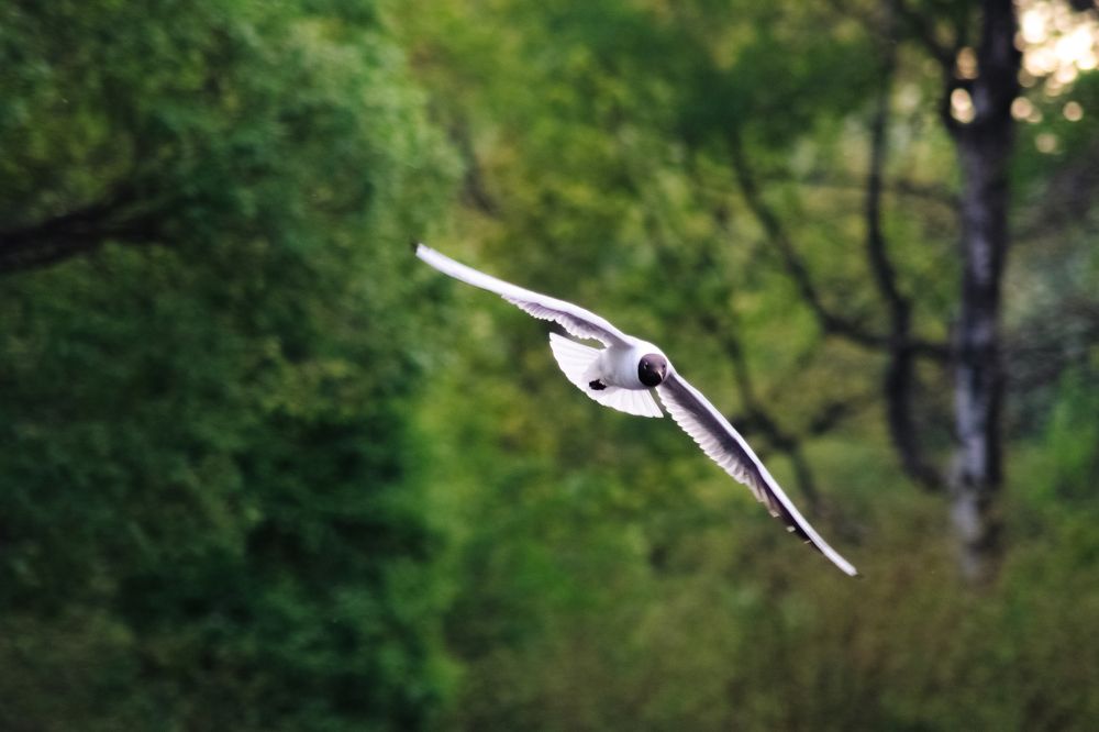 Фотография автора Alexander Komarov