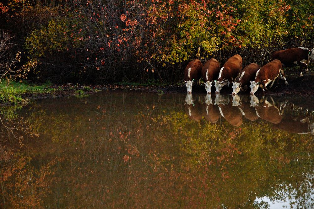 Фотография автора Александра Кириллова
