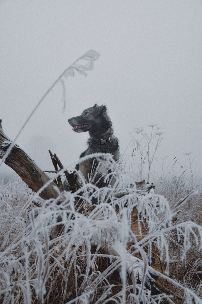 Photograph by Королева Екатерина