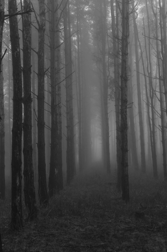 Photograph by Андрей Папанов