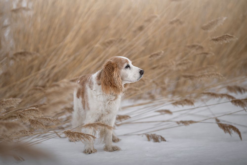 Photograph by Наталия Иванова