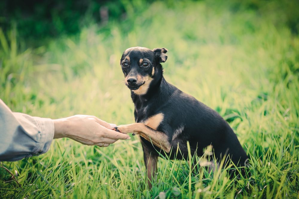 Photograph by Инна Смолякова