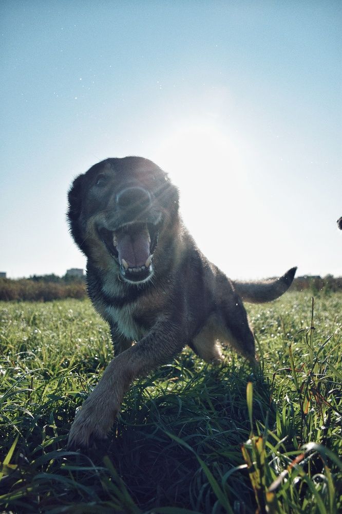 Photograph by Королева Екатерина