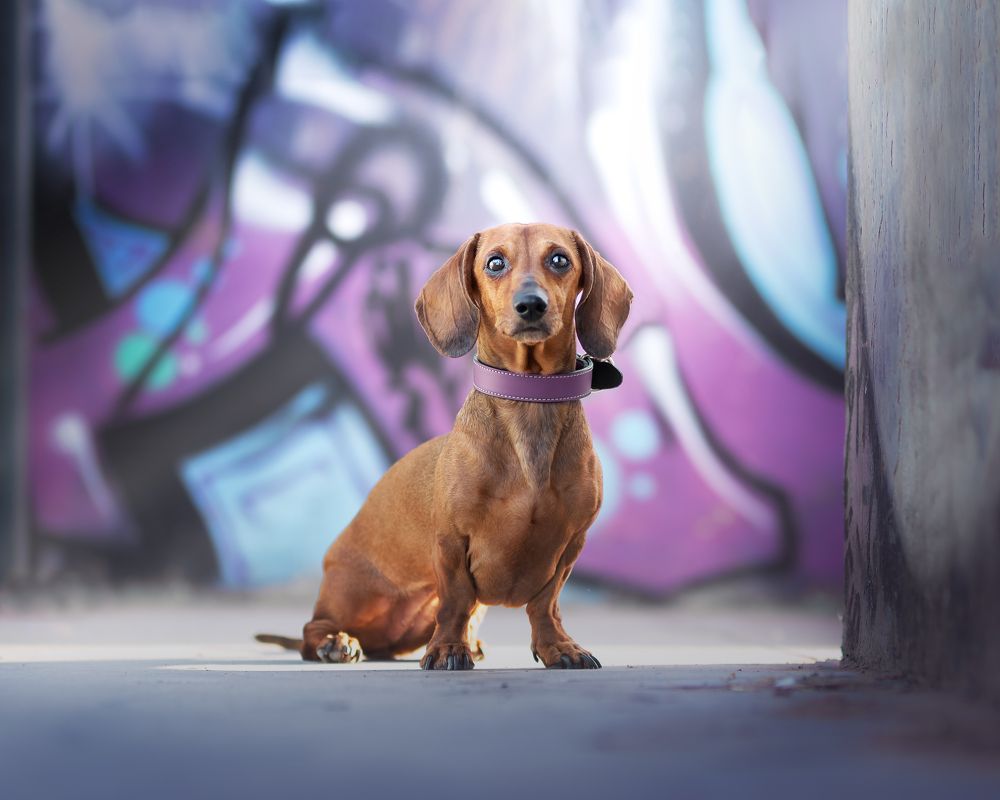 Фотография автора Ana Sánchez