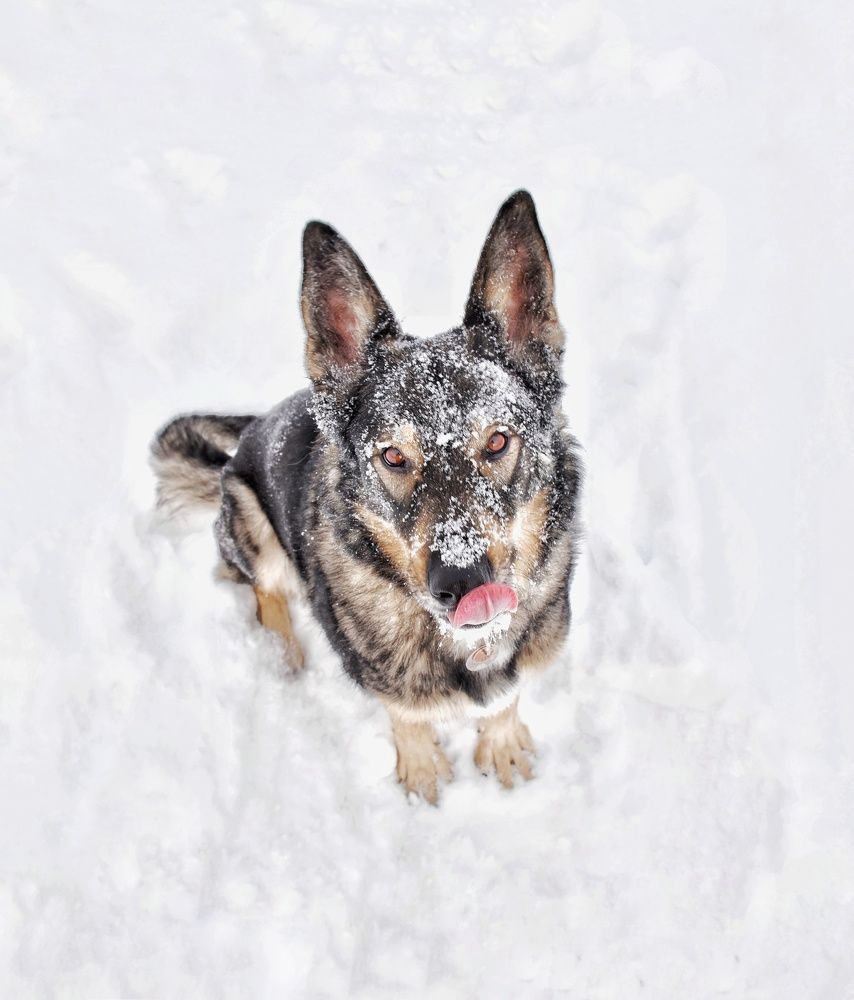 Photograph by Королева Екатерина