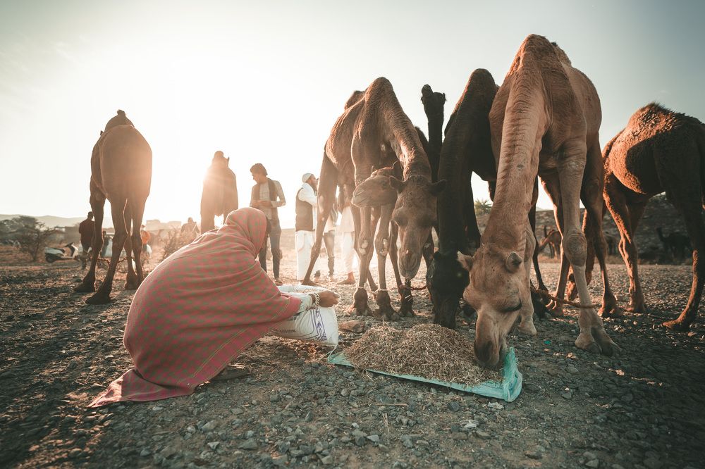 Photograph by Ashwani Thurwal