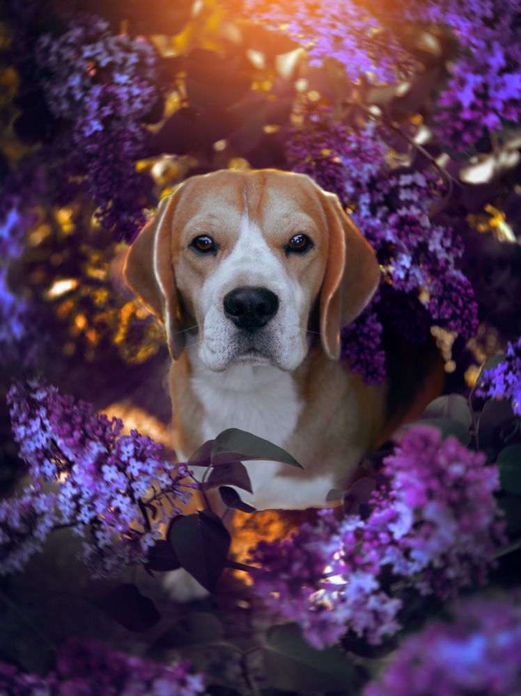 Фотография автора Katerina Mumzhinskaya