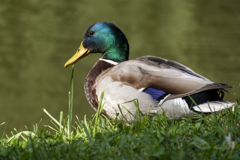 Photograph by Anton Leonchikov