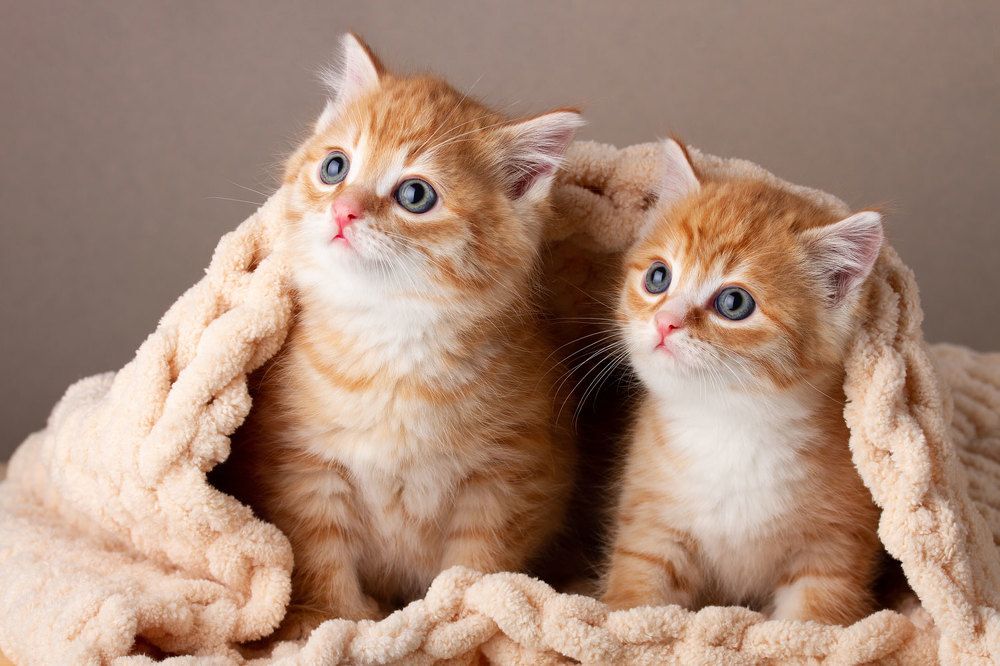 Photograph by Елизавета