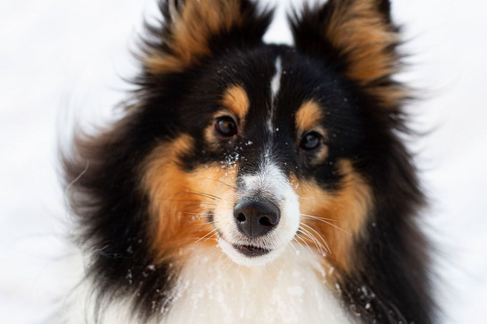 Photograph by Елизавета