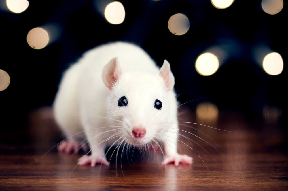 Photograph by Елизавета