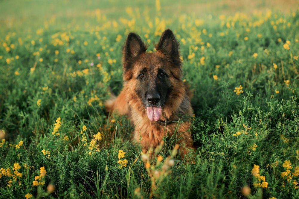 Photograph by ТАТЬЯНА МИНАЕВА