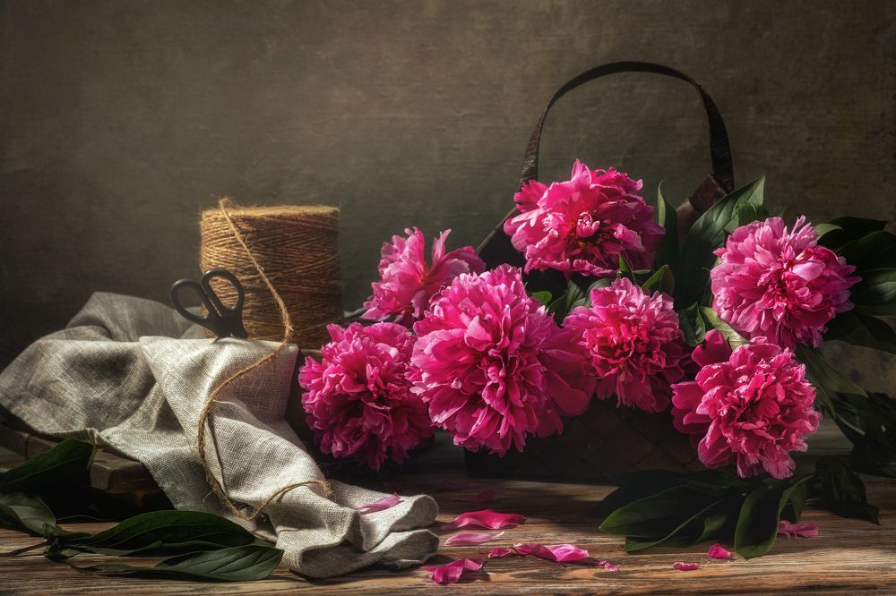 Фотография автора Дмитрий Герц