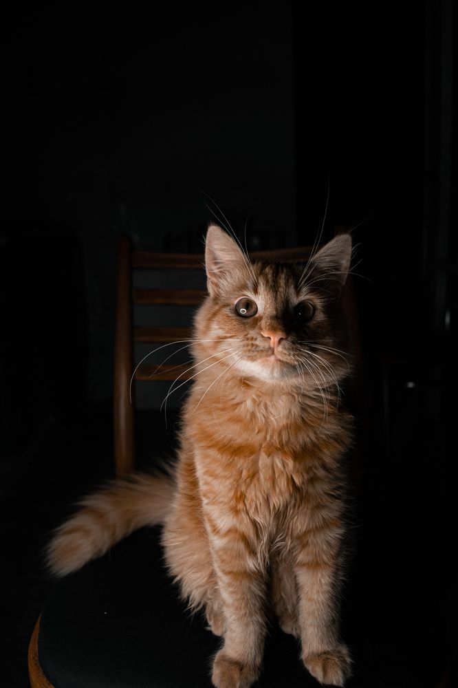 Photograph by Ирина Кочергина