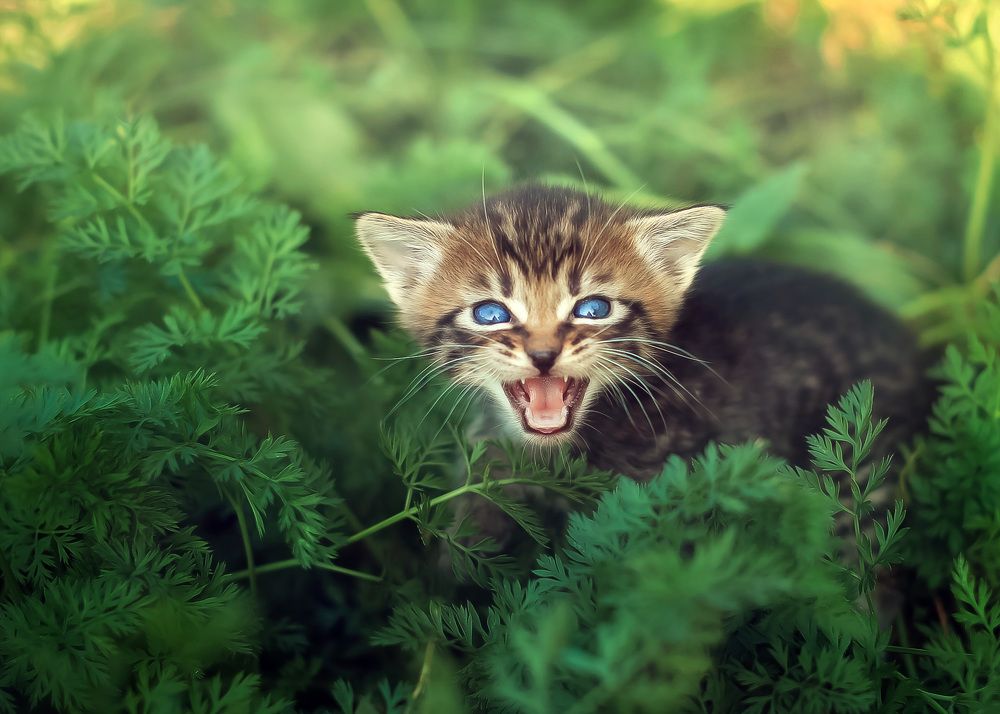 Photograph by ТАТЬЯНА МИНАЕВА