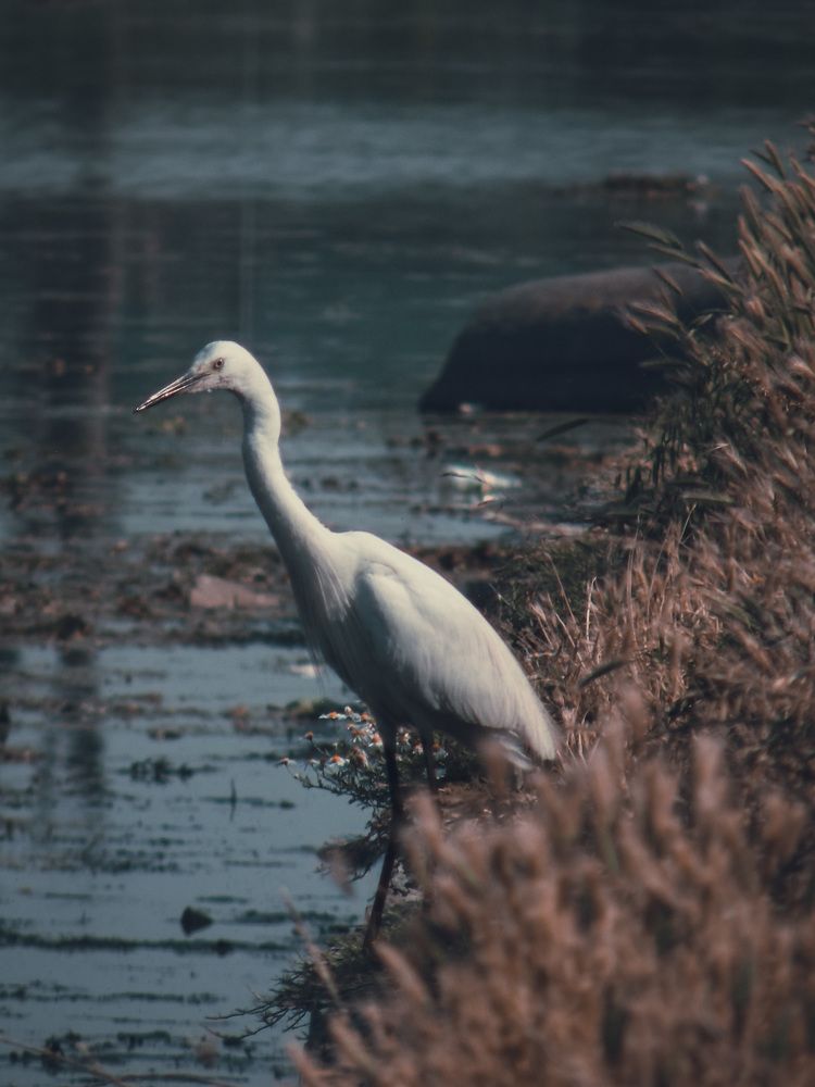 Photograph by Faizanmeer