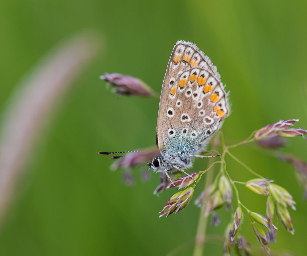Photograph by Наталья