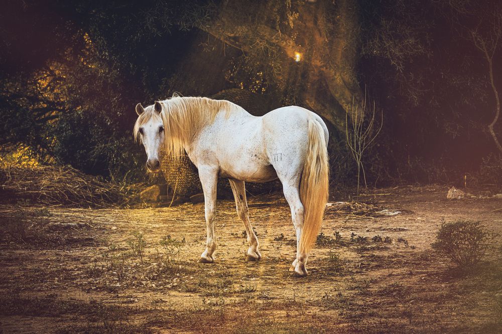 Photograph by Katerina