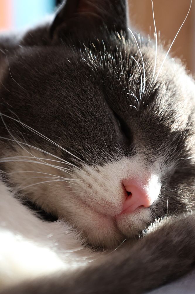 Photograph by Александр Евграфов