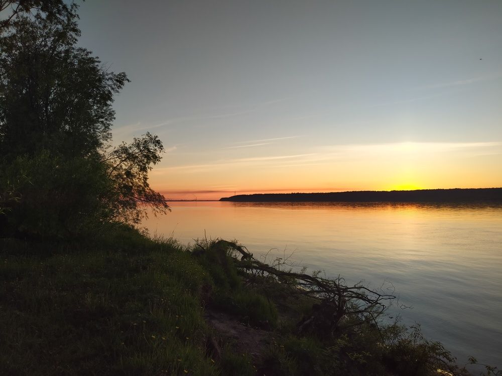 Photo #7679641