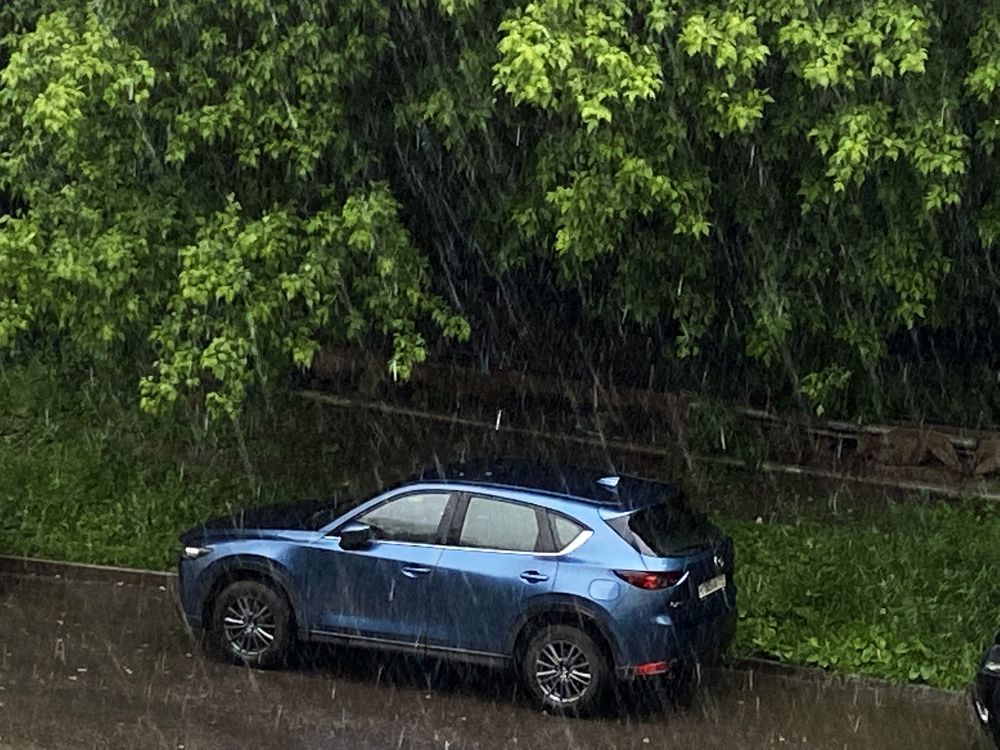 Photograph by Лариса Рулёва