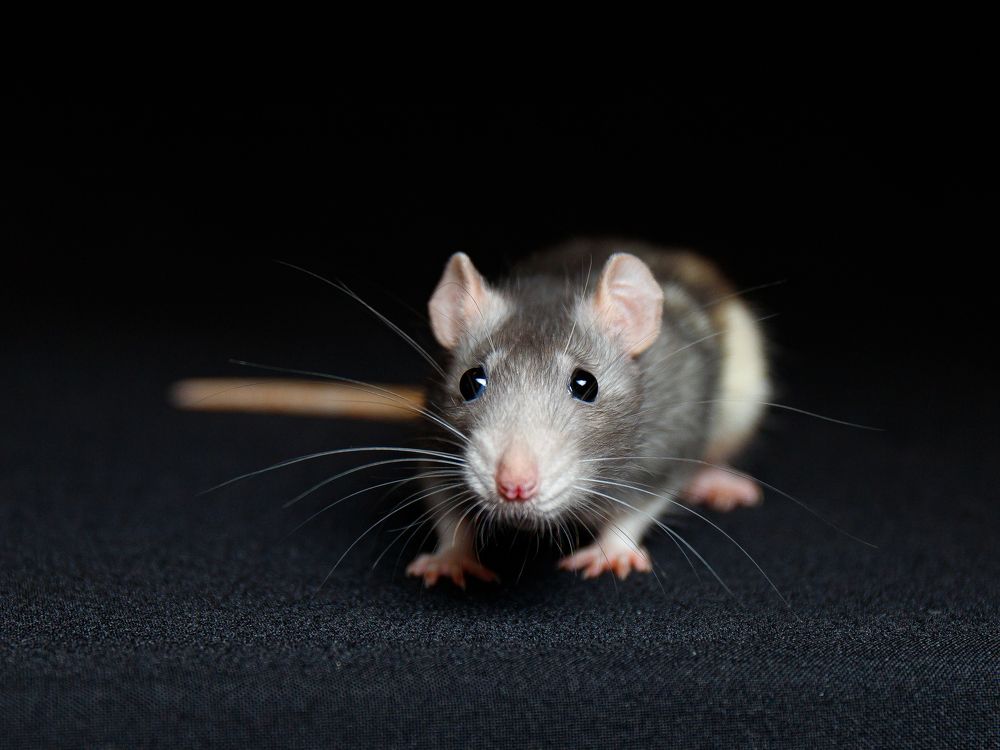 Photograph by Roman Gudz