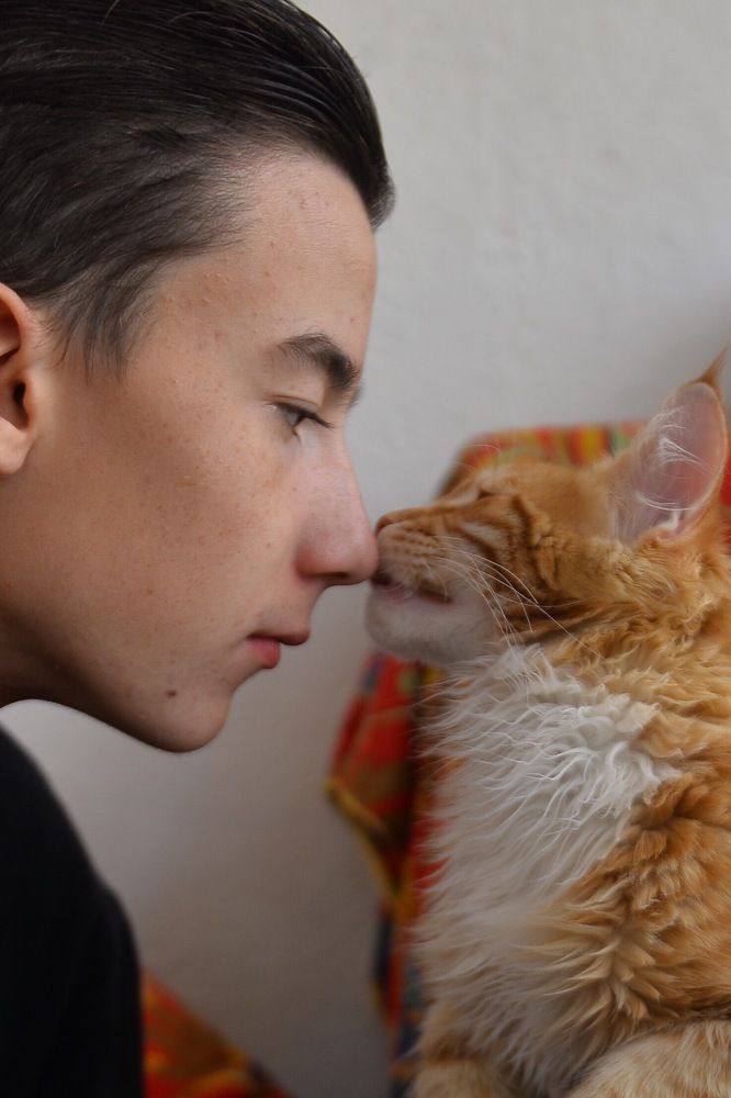 Photograph by Максим Кулешов