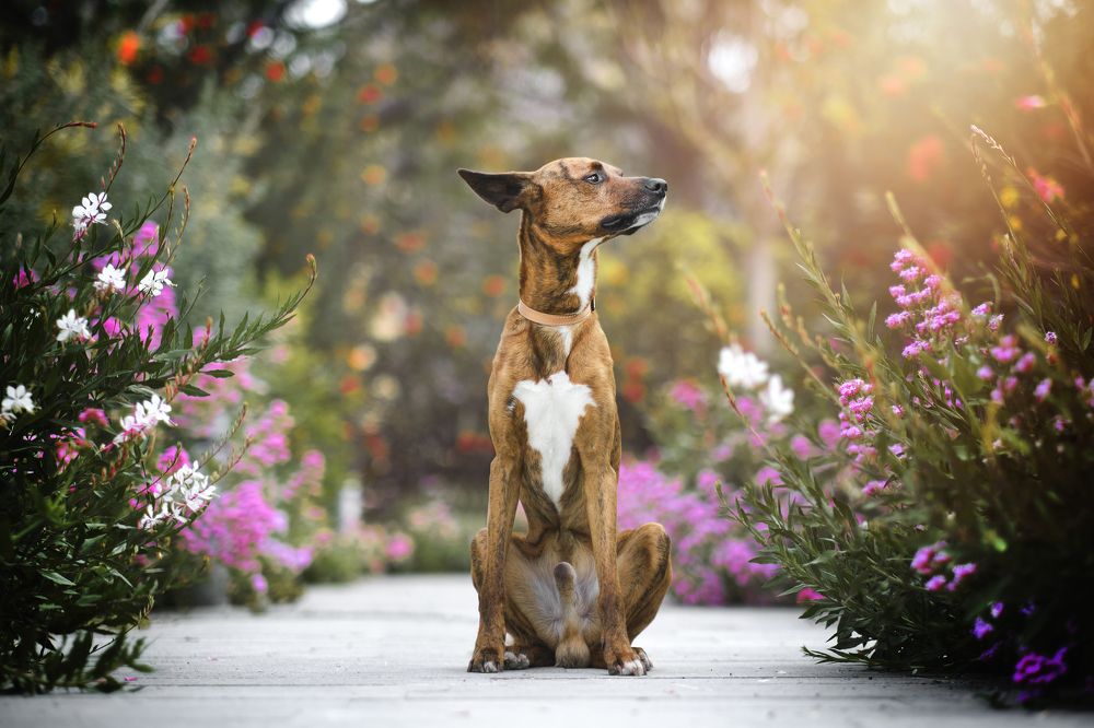 Photograph by Miguel Romero