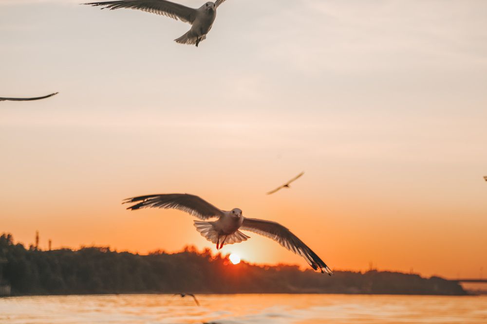 Photograph by Olga Vasilkova