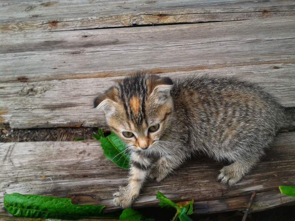 Photograph by Анастасия Игошина