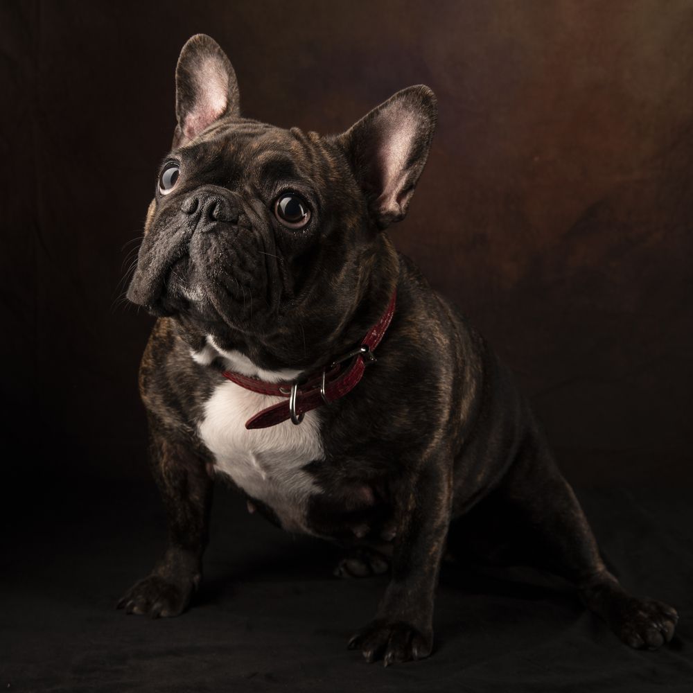 Photograph by Александр Чистоходов