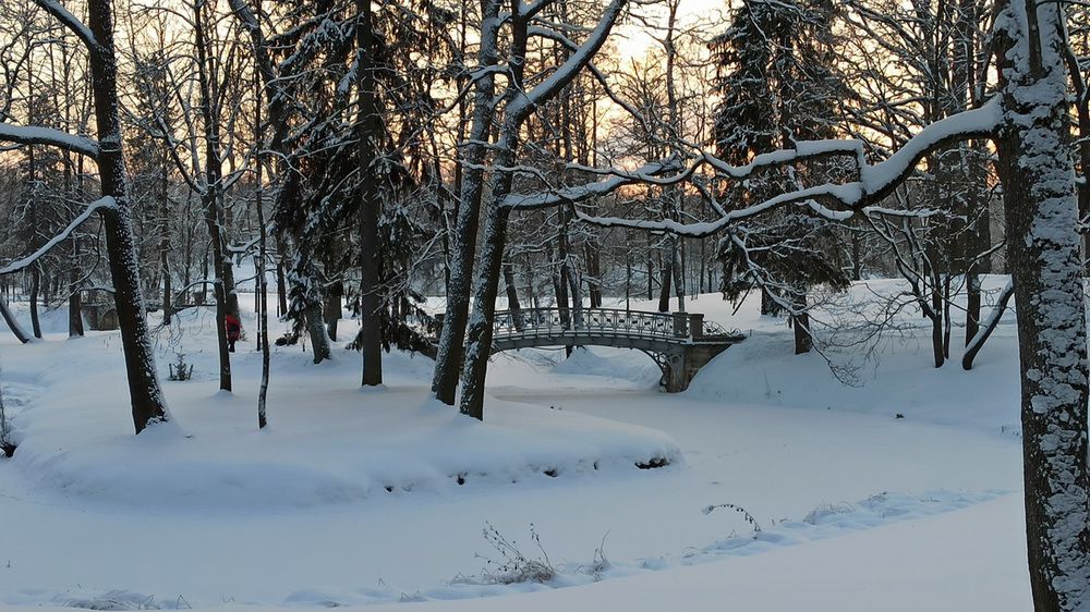 Photograph by Владимир Гашнев