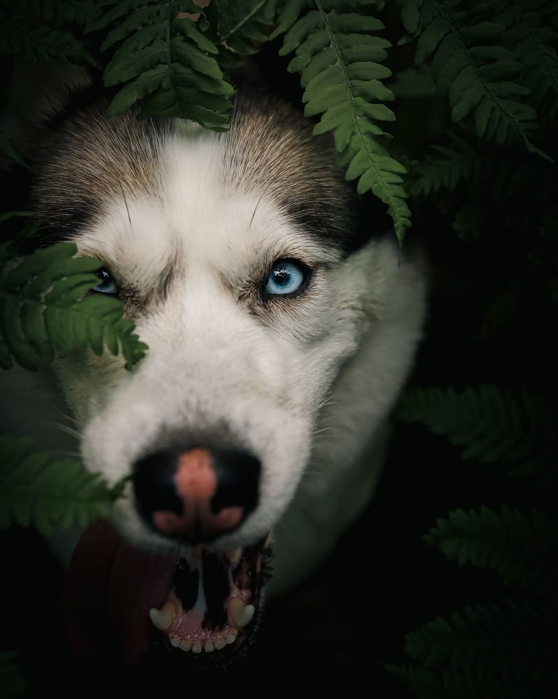 Photograph by Константин