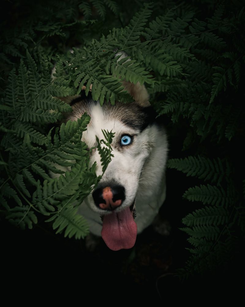 Photograph by Константин