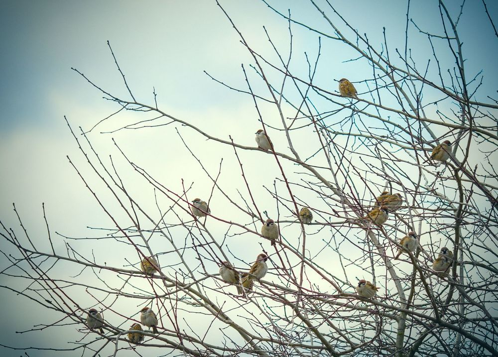 Photograph by Наталья Шалкевич