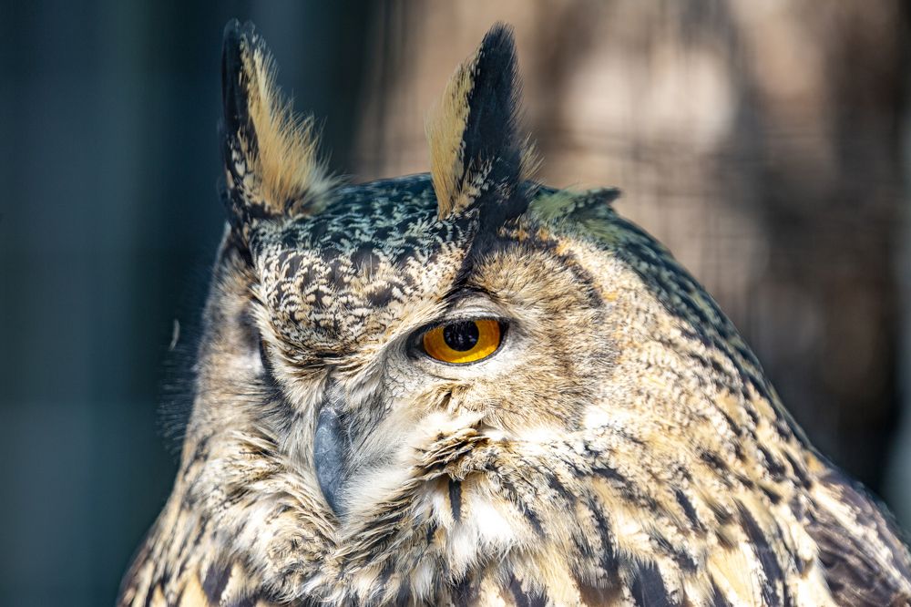 Photograph by Андрей Михайлов