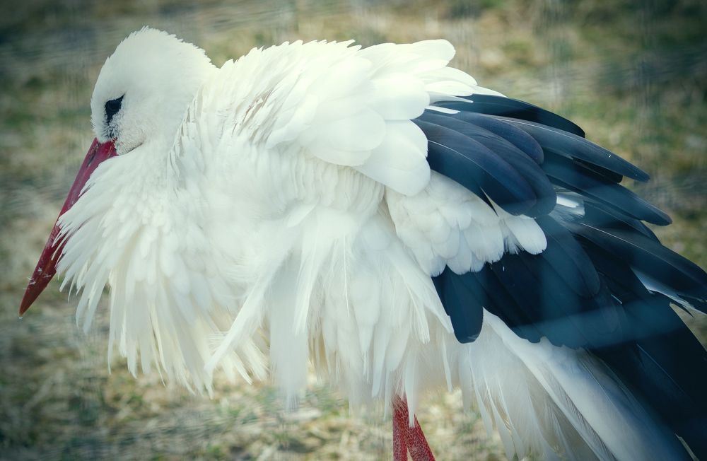 Photograph by Наталья Шалкевич